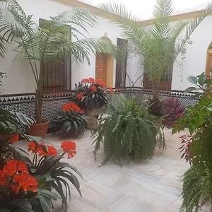 Calle Leiva Cordova